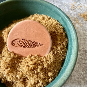 Terracotta Sugar Keeper/ Seashell Pottery Essential Oil Diffuser