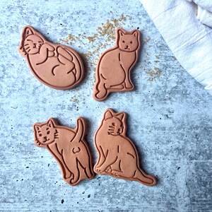 Terracotta Cat Sugar Keeper & Essential Oil Diffuser Set - Handmade Pottery