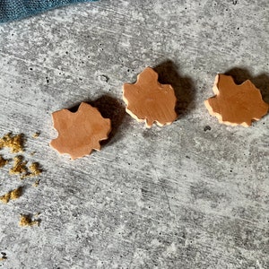 Brown sugar savers/ essential oil diffusers/ sugar keepers set of 3 maple leaves, baking gift, stocking stuffer, teacher gift image 9
