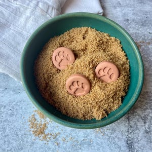 Handmade Terracotta Sugar Keeper Set/ Dog Paw oil Diffusers