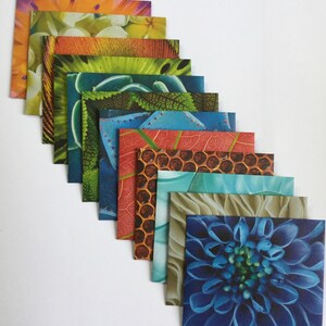 Envelopes naturais, correio tradicional, amigo por correspondência, notas de lancheira, notas de amor, papelaria, padrão brilhante, cor brilhante, envelopes bonitos, conjunto de 12