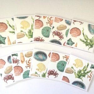 Mini tarjetas de concha / mar, tarjetas en blanco, tarjetas de agradecimiento, tarjetas de notas, tarjetas de regalo, juego de 10