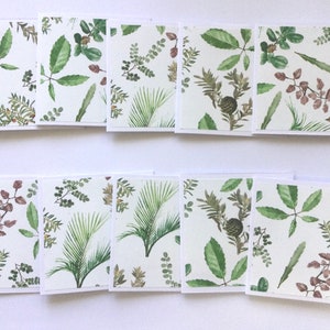 Mini-cartes botaniques printanières, motifs de plantes et de feuilles, cartes vierges, cartes de remerciement, cartes de correspondance, cartes-cadeaux, lot de 10
