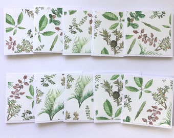 Spring Botanical mini cards, plant and leaf patterns, blank cards, thank you cards, note cards, gift cards, set of 10