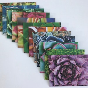 Suculentos sobres hechos a mano, correo de caracol botánico, papel de cactus / papelería, juego de 12