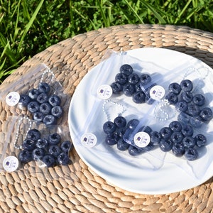 May include: Four clear plastic bags filled with dark blue blueberry-shaped charms. The bags are on a white plate with a woven straw mat underneath.