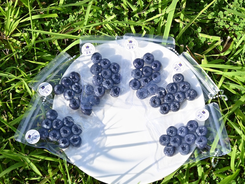 May include: Six small clear plastic bags filled with blueberries, arranged on a white plate. The bags have a small label with the word "Blueberry" printed on them.