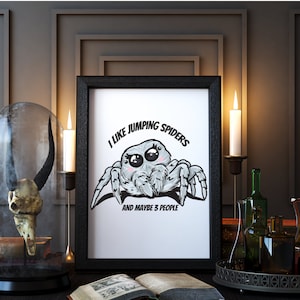 Jumping Spider Cute PNG Sublimation spood phiddipus Regius regal jumping spider art