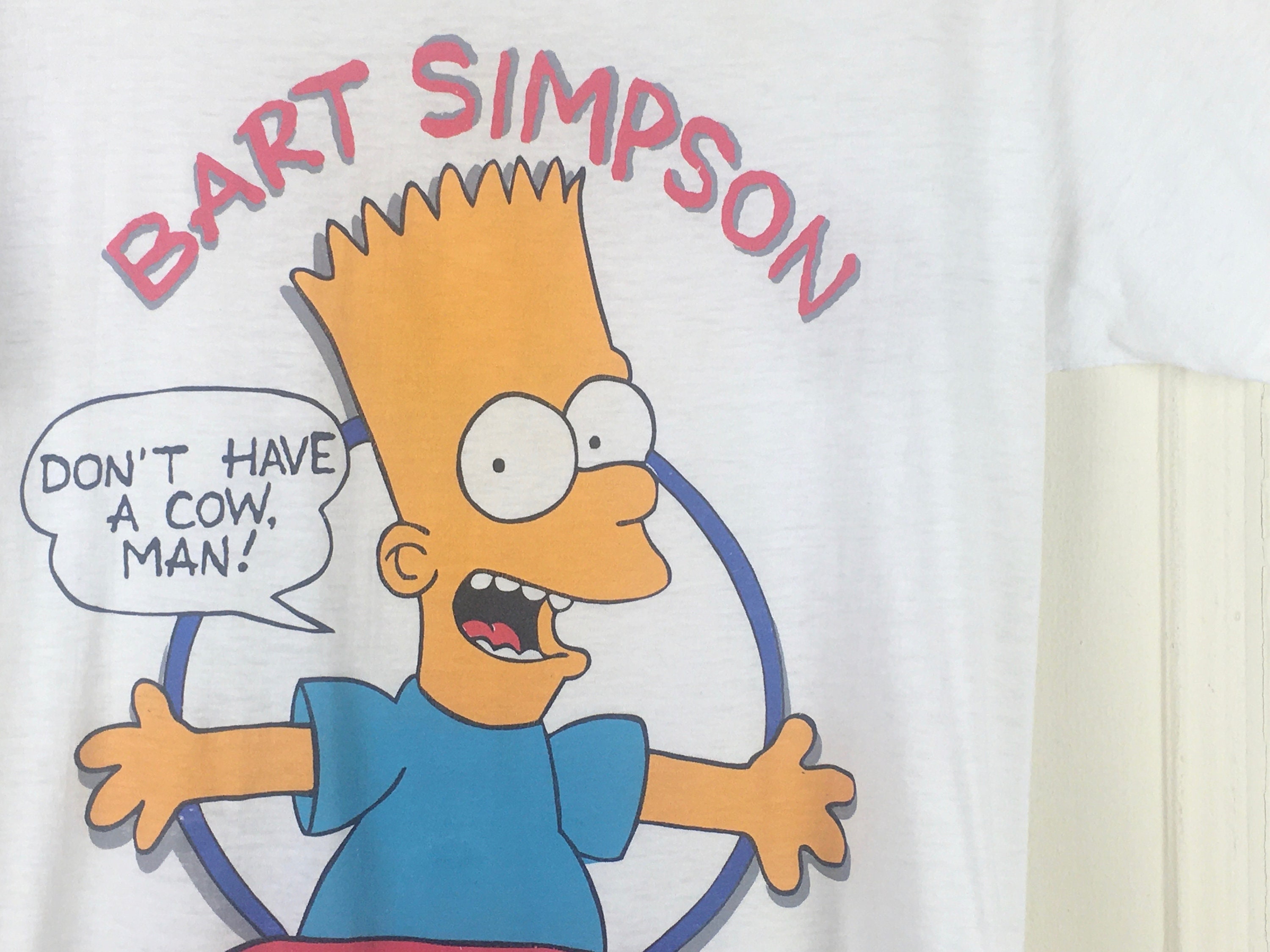 1990s Bart Simpson T-shirt, Radical Dude WASHINGTON DC - Single