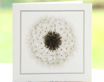 Dandelion seed head flower photograph, blank inside, square greetings card