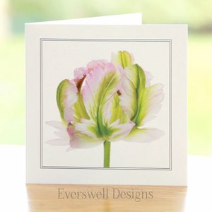 Parrot Tulip Flower zdjęcie, puste wnętrze, kwadratowe karty życzenia