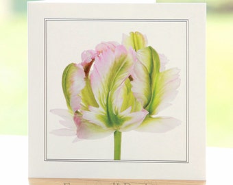 Parrot Tulip flower photograph, blank inside, square greetings card