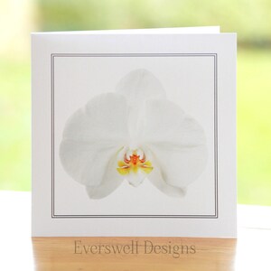 Zdjęcie białego kwiatu orchidei, puste w środku, kwadratowa kartka z pozdrowieniami