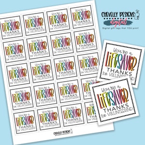 Lifesaver Thanks for Volunteering Gift Tags | Printable - Instant Digital File | HT112b