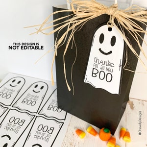 May include: A black gift bag with a white ghost-shaped tag that says "thanks for all you BOO". The bag is tied with a brown raffia bow. There are candy corn and a small pumpkin on a white wooden surface.