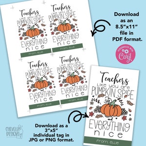 May include: Printable gift tags featuring a pumpkin with fall foliage and the text "Teachers like you are pumpkin spice and everything nice". The tags are available in two sizes: 3"x5" and 8.5"x11".