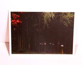 Mailboxes - Film Photo Art Print Postcard