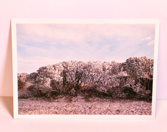 Home - Landscape Nature Photography Art Print Postcard