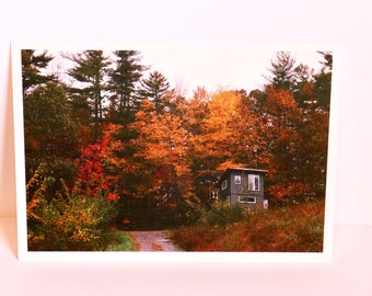 Rainbow Cabin - Nature Photography Art Print Postcard