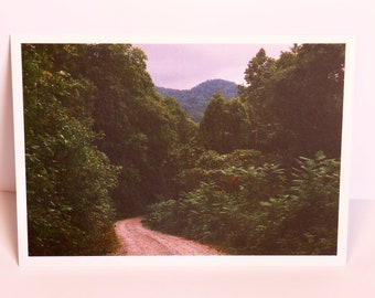 Winding Road - Landscape Photography Art Print Postcard
