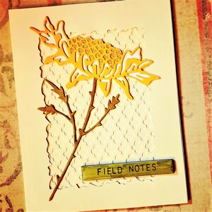 May include: A white card with a gold glitter flower and stem. The flower is on a white background with a honeycomb pattern. The card has a gold bar with the text "FIELD NOTES" on it.