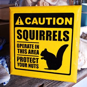 May include: A yellow caution sign with black text that reads "CAUTION SQUIRRELS OPERATE IN THIS AREA PROTECT YOUR NUTS". A black silhouette of a squirrel is in the bottom right corner of the sign.