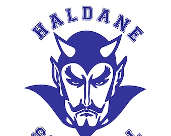 Haldane Blue Devils Vinyl Decal : School Book Sticker