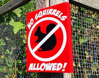 We HATE Squirrels!