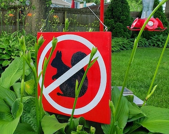 Large No Squirrels Allowed No Entry Garden Sign