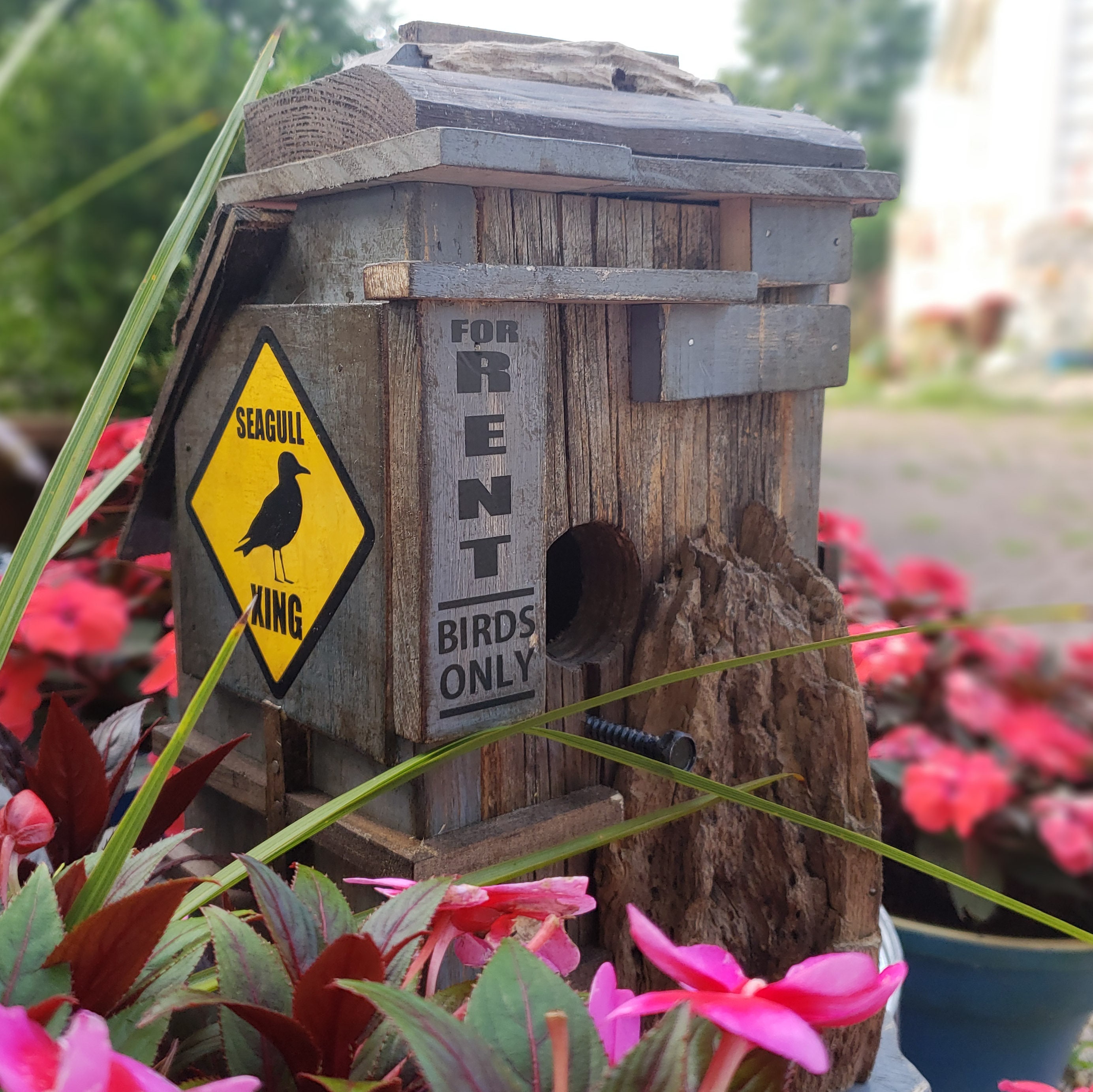 Driftwood Beach Bird House Scraphouse 10