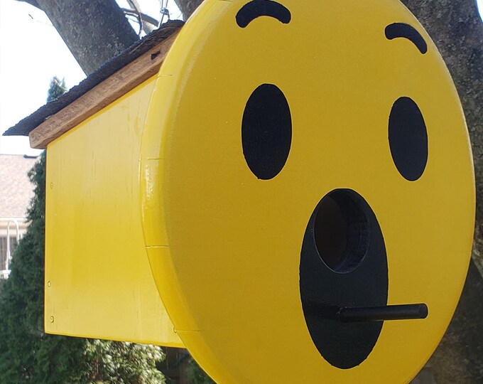 Wow Smiley Face Emoji Birdhouse Unique Garden Bird Houses, Outdoor