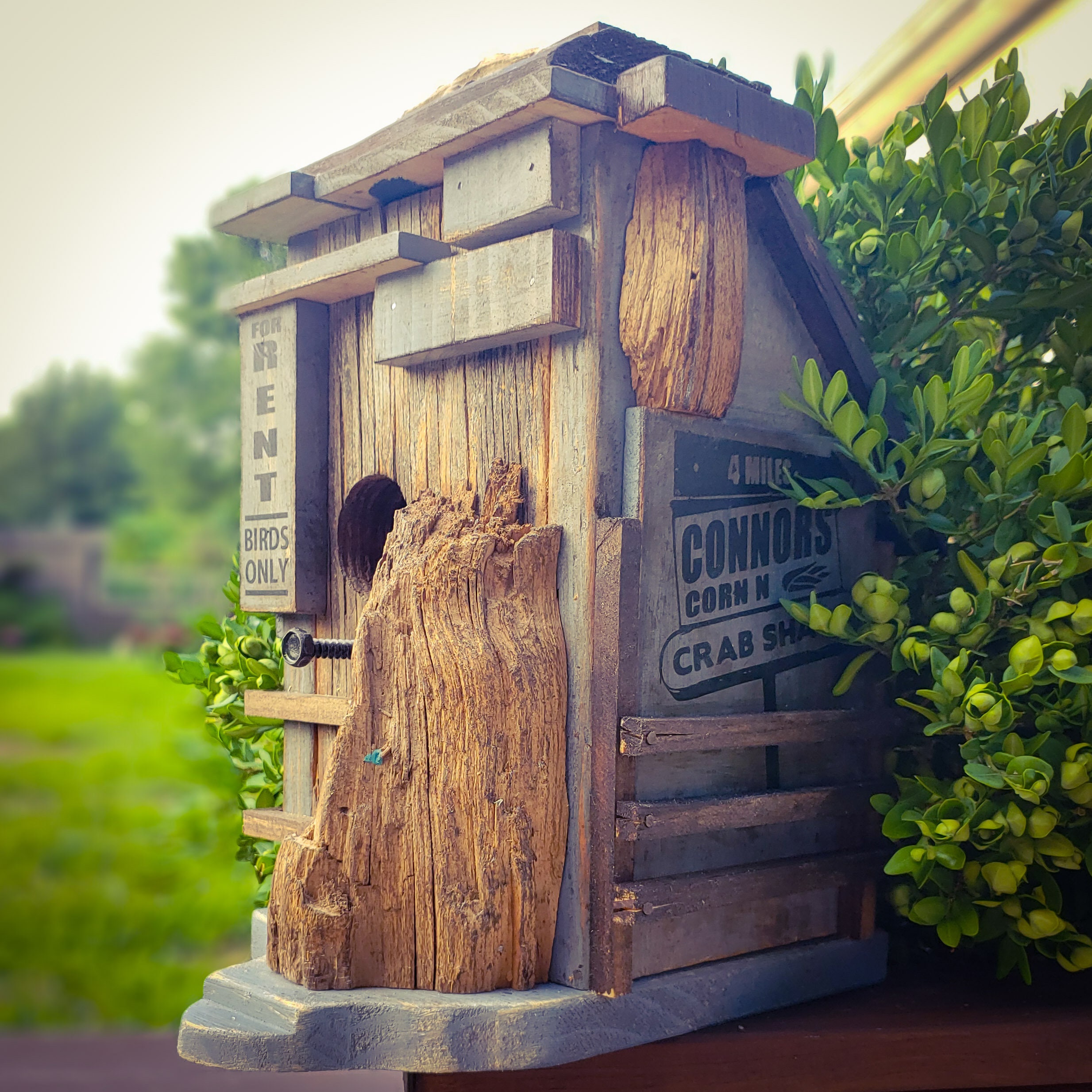 Driftwood Beach Bird House Scraphouse 10