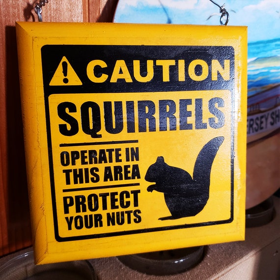 Protect Your Nuts: Squirrels Operate in This Area Caution