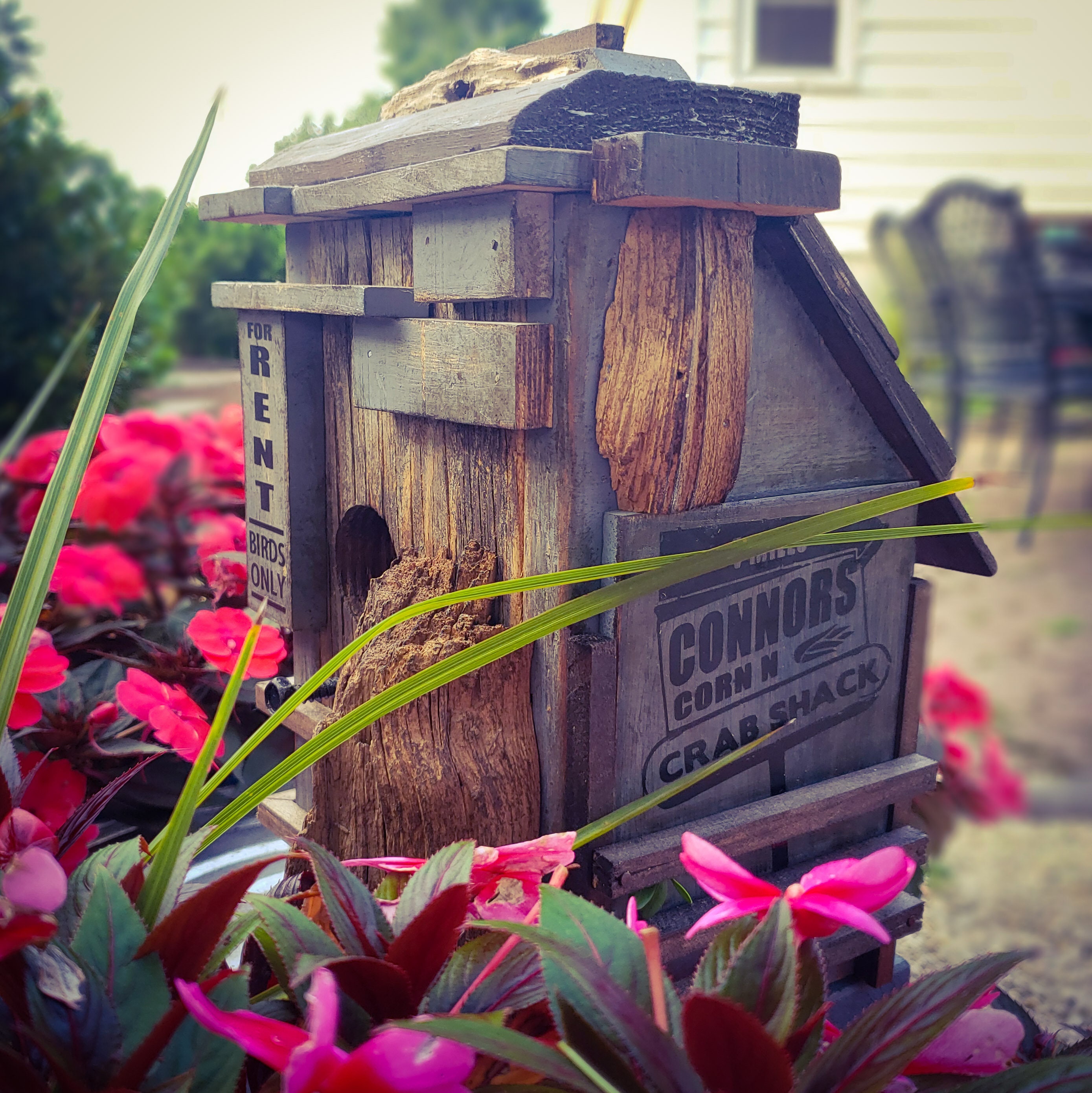 Driftwood Beach Bird House Scraphouse 10