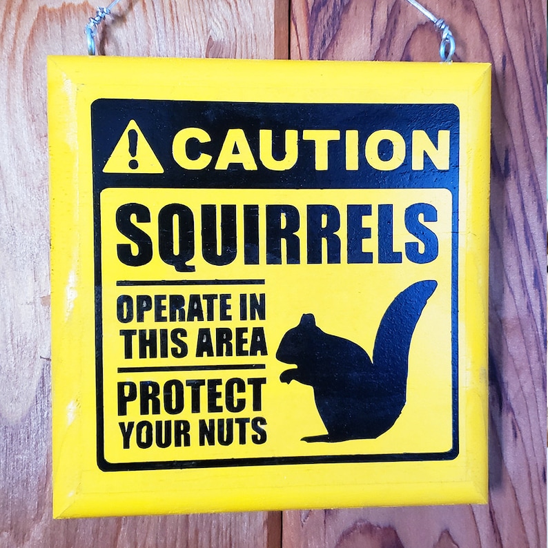 Protect Your Nuts Squirrels Operate in This Area Caution Sign Etsy
