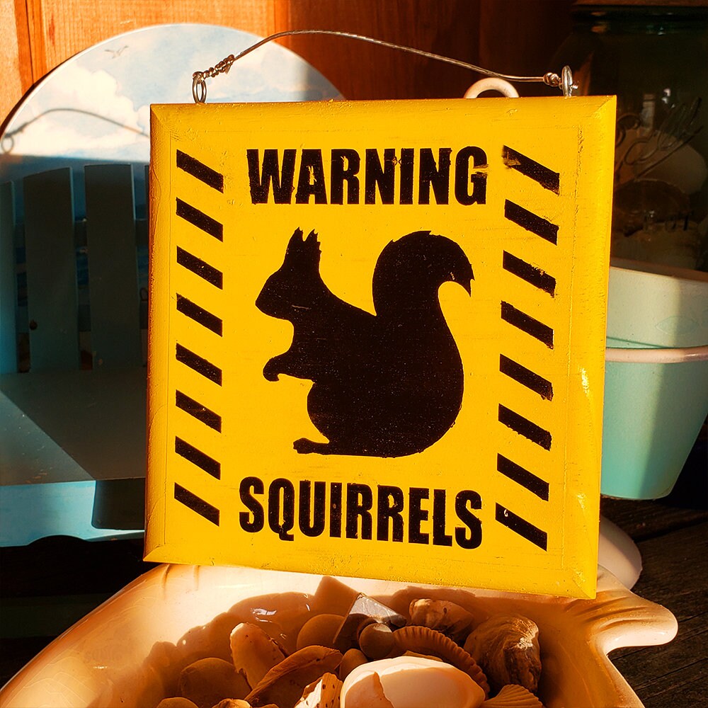 Warning Squirrels Fun Garden Caution Sign Yard Signage Etsy