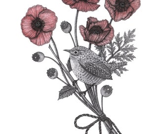 Wren and Poppies Greetings Card - Birthday Card - Thank You Card - Friendship Card - Blank Card - Illustrated Card - Card for her