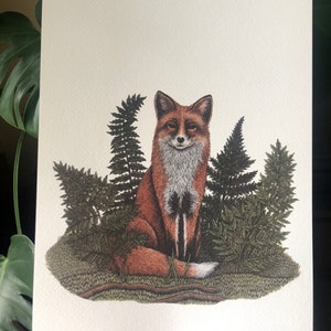 Fox & Ferns A4 print - Woodland Animal - Vixen - Foxes - British Wildlife Illustration - Watercolour - Pen and Ink - Gift for Animal Lover