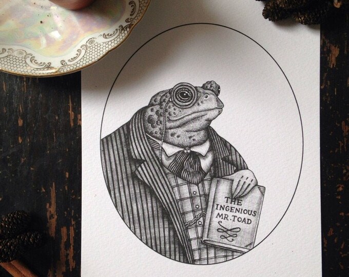 Mr Toad Wind in the Willows Print Toad Print Toad Hall Storybook Print ...