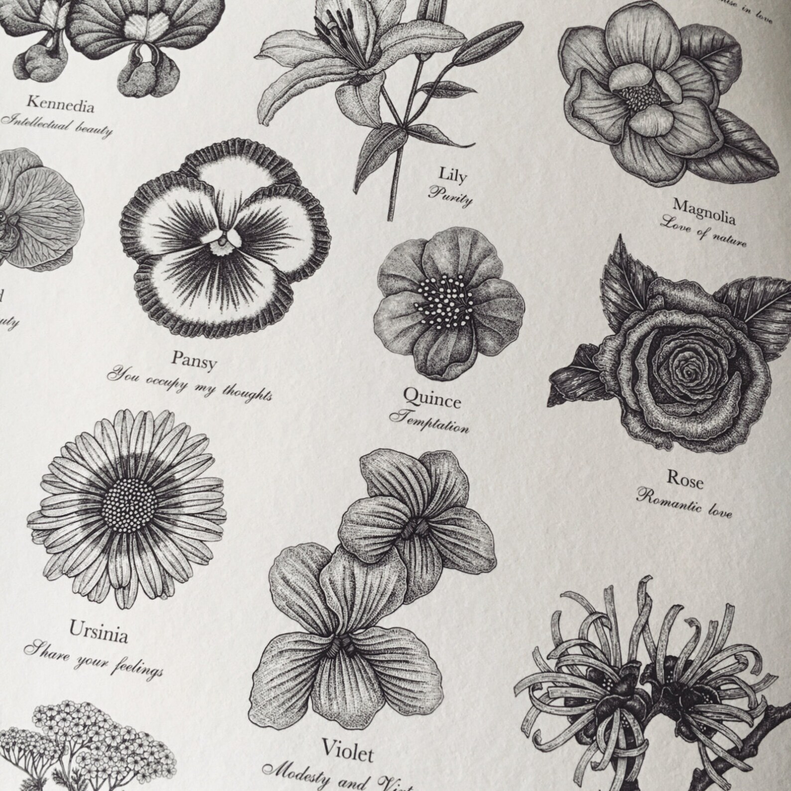 Victorian Language of Flowers Print A to Z of Flowers Etsy