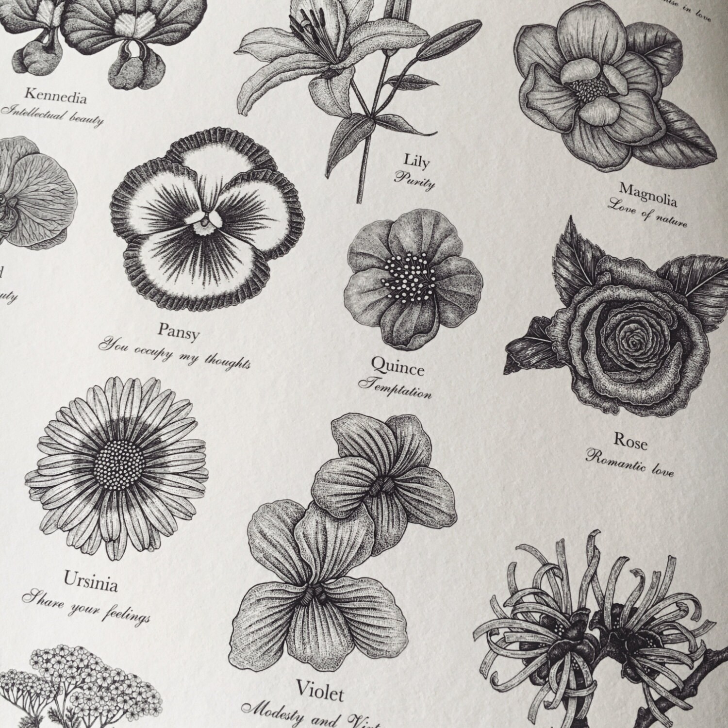 Victorian Language of Flowers Print A to Z of Flowers Etsy