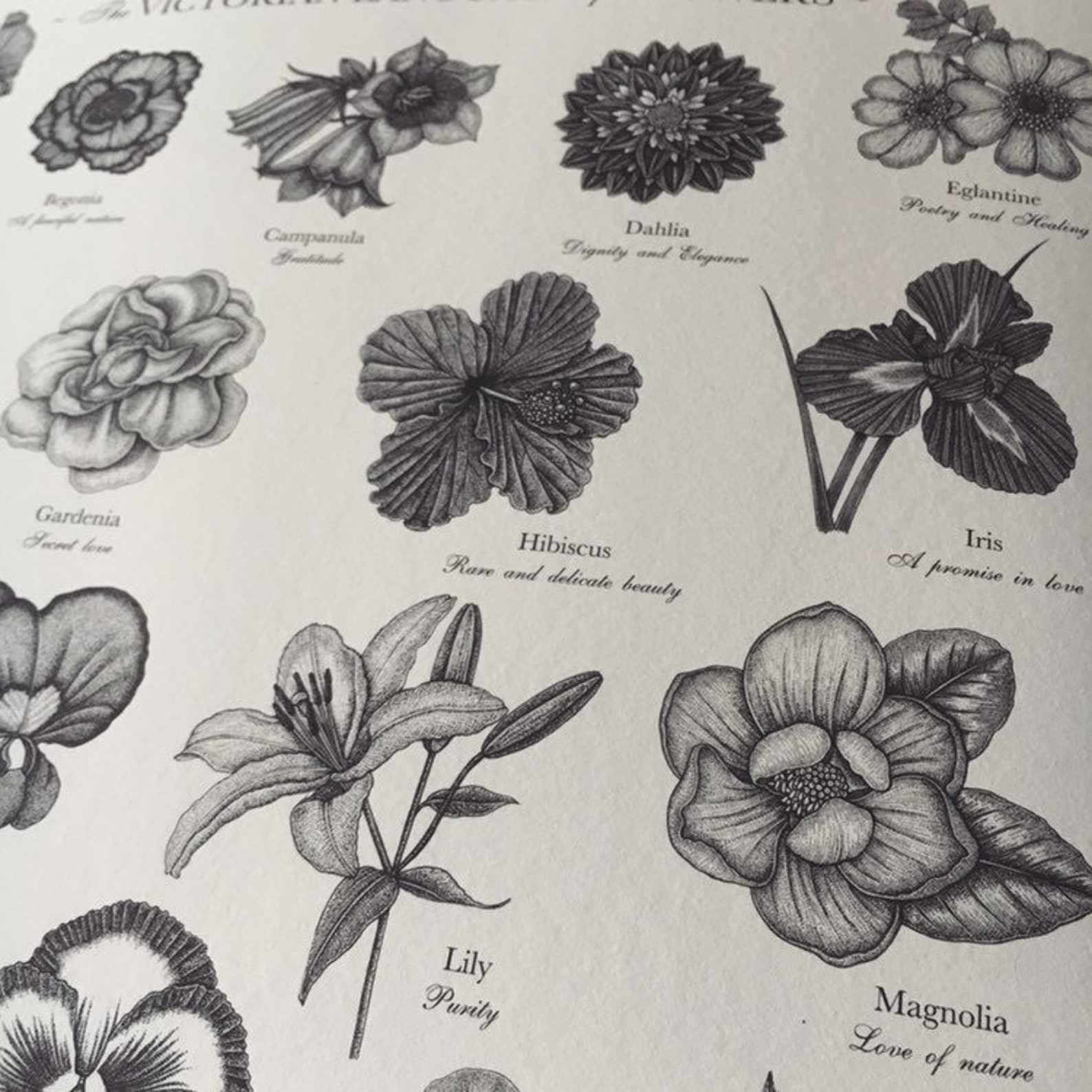 Victorian Language of Flowers Print A to Z of Flowers Etsy