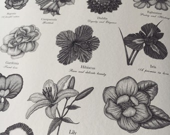 Victorian Language of Flowers Print - A to Z of Flowers - Flower