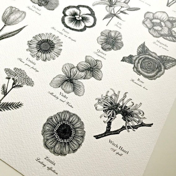 Victorian Language of Flowers Print - A to Z of Flowers - Flower