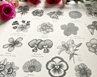 Victorian Language of Flowers Print - A to Z of Flowers - Flower Alphabet - Floriography - Floral Print - Victorian Flower Meanings
