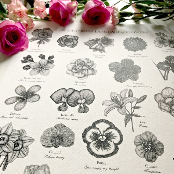 Victorian Language of Flowers Print - A to Z of Flowers - Flower Alphabet - Floriography Print - Floral Print - Victorian Flower Meanings