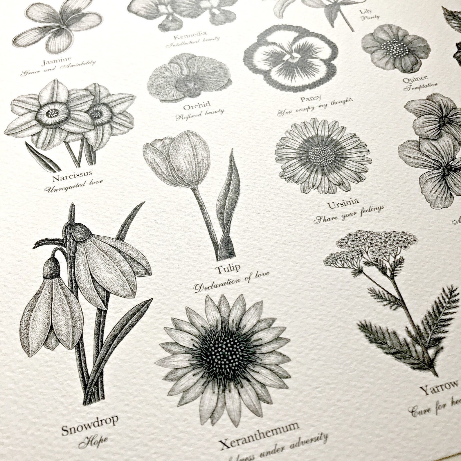 Victorian Language of Flowers Print A to Z of Flowers Etsy