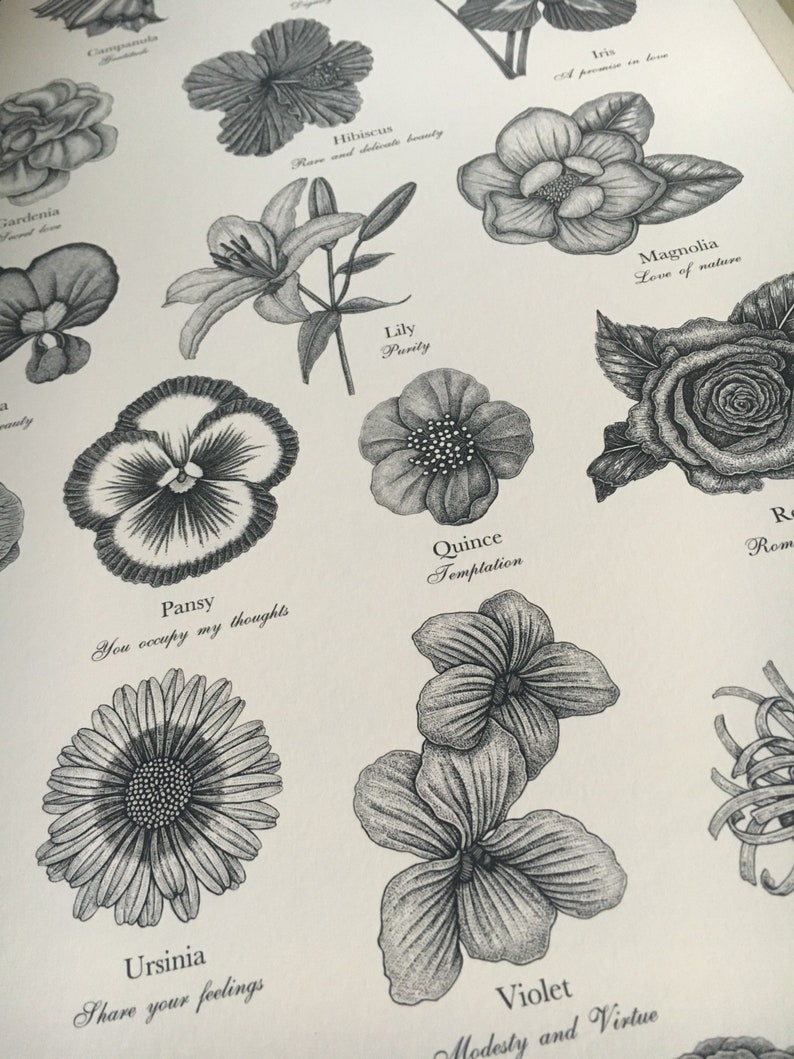 Victorian Language of Flowers Print A to Z of Flowers Etsy
