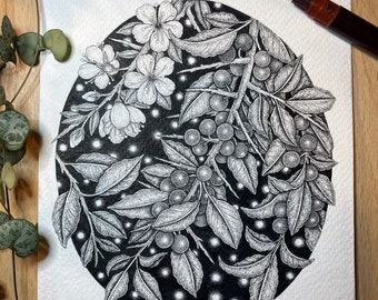 Blackthorn A4 Illustration Print - Botanical Wall Art - Sloe berries - Blackthorn tree - Celestial Print - Botanical Illustration - Folklore