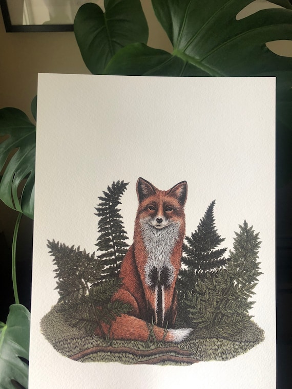 Fox & Ferns A4 print - Woodland Animal - Vixen - Foxes - British Wildlife Illustration - Watercolour - Pen and Ink - Gift for Animal Lover